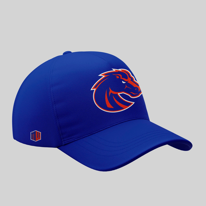 TS4 - "The Blue and the State of Idaho" - Boise State Broncos Football - Special Edition Tshirt 2025