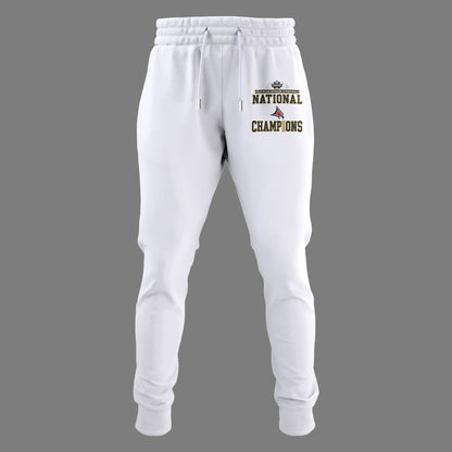 Limited Edition Falcon Football 2025 NCAA Division III National Champions Hoodie-LL260105024