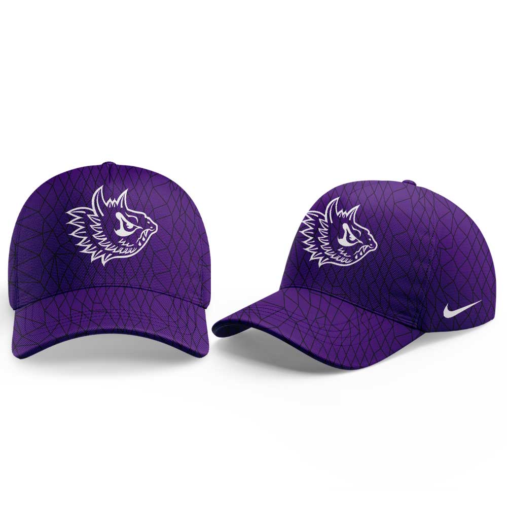 .   TCU The Best Uniform Combo Purple Hoodie