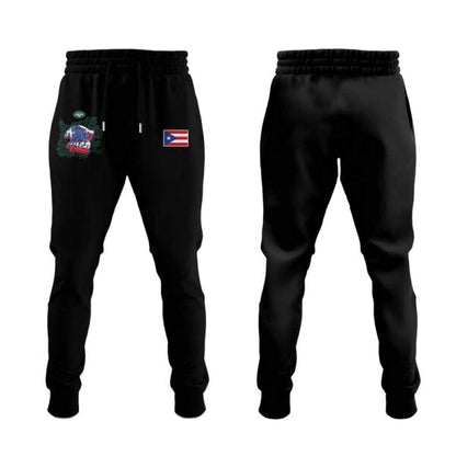 NY.Jets Puerto Rican Heritage Combo Hoodie