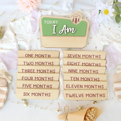 Baby Monthly Milestone Nation Park Baby Name Sign for Hospital Baby Photo Signs Baby Gift Baby Shower Gift