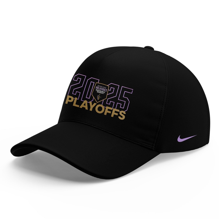 Limited edition 2025 Golden State Valkyries Playoff sweatshirt for fans