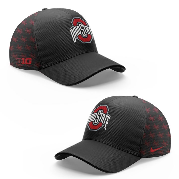 Ohio State Buckeyes Zip Hoodie 2025-Black