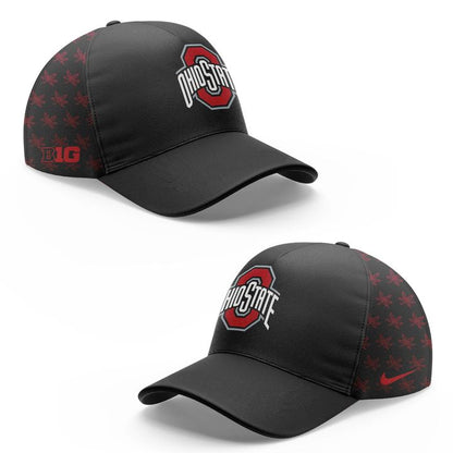 Ohio State Buckeyes Zip Hoodie 2025-Black