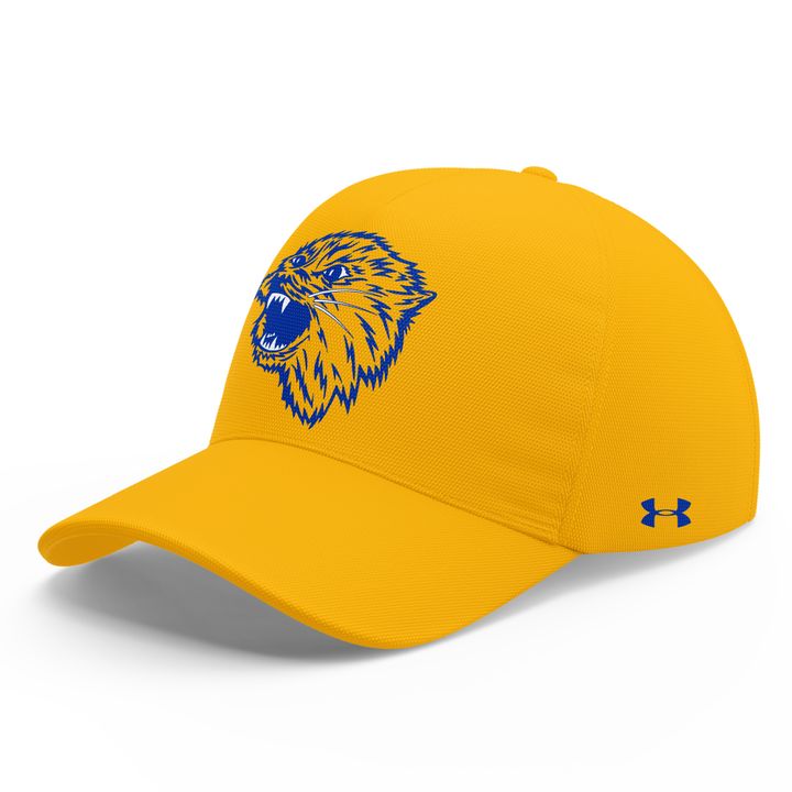 Special 2025 𝐆𝐎𝐋𝐃 𝐑𝐔𝐒𝐇 Montana State Football Hoodie